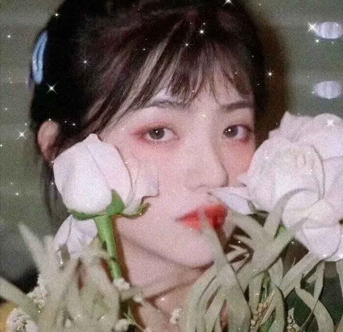 生死罗布泊